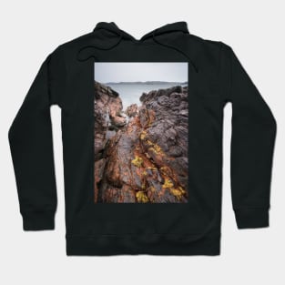 Firemore Hoodie